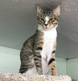 Photo of Beatrix / Scully