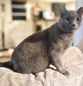 Photo of Nimbus - JM