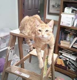 Photo of Timber Group