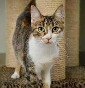 Photo of Robin Buckley