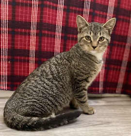 Photo of Doug McKenzie