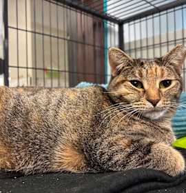 Photo of Be Responsible! 