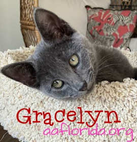 Photo of Gracelyn