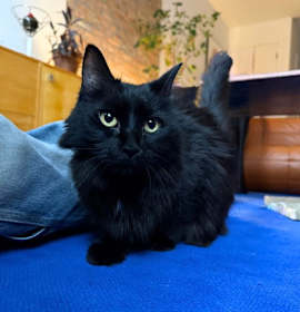 Photo of Wooly Garvey