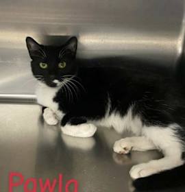 Photo of Pawla