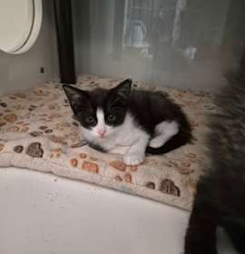 Photo of Possum Cnty505