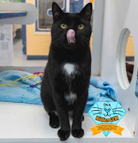 Photo of Ricola *Hidden Gem*