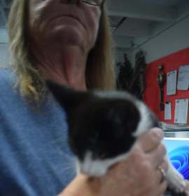 Photo of Zeus (Apollo) (Mahoney K3)