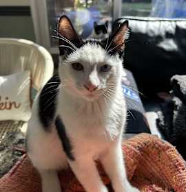 Photo of Strudel Bonded w/Churro