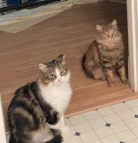 Photo of Burt (and Sally)