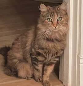 Photo of Sally (and Burt)