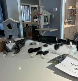 Photo of Sushi & Tula