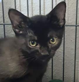 Photo of Tweedledum & Tweedledee 9.1.25