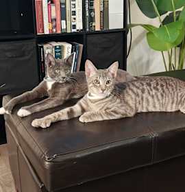 Photo of Shalem and Timberland