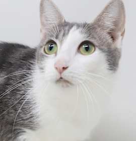 Photo of Senora Luna