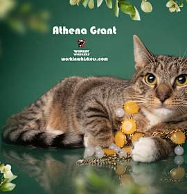 Photo of ATHENA GRANT