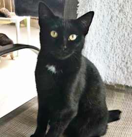 Photo of Lady Capulet