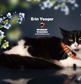 Photo of ERIN YEAGER