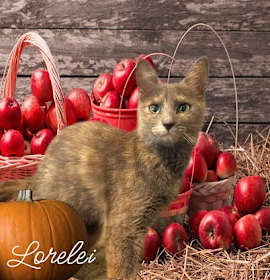 Photo of Lorelei