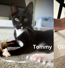 Photo of Tommy & Oliver - Bonded Male Teenagers