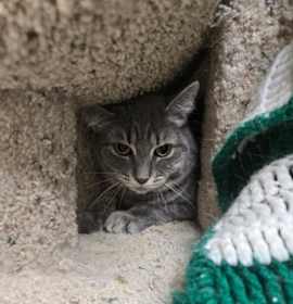 Photo of Konrad OF49