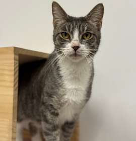 Photo of Thalora(C000-671) - City of Industry Location