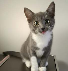 Photo of Grayson & Mason