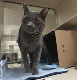 Photo of Smokey Simba