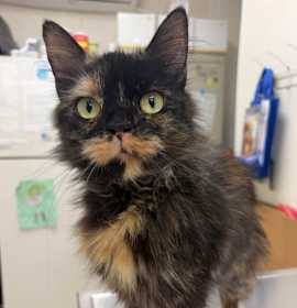 Photo of Aunt Gloria