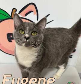 Photo of Eugene