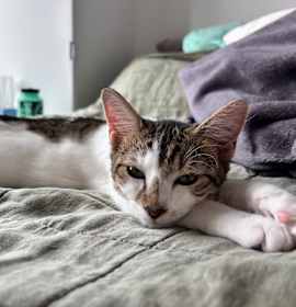 Photo of Princess Sophia