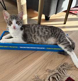 Photo of Prince Leonard