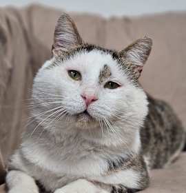 Photo of Sweet Cheeks