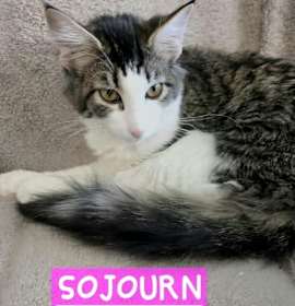 Photo of Sojourn