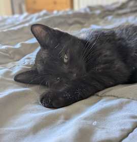 Photo of Gable Dyal-RS