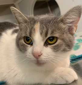 Photo of Gracie Marie