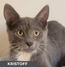 Photo of Kristoff