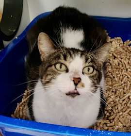 Photo of Echo Cunningham