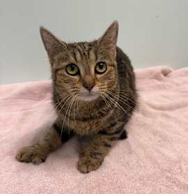 Photo of Polly Dactyl