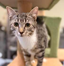 Photo of 1125-145 Mobi 🎄