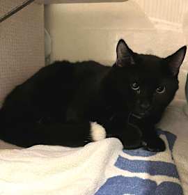 Photo of Party *Meet me at Lakeville Petsmart*