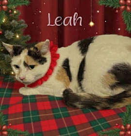 Photo of Leah