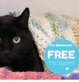 Photo of Thachery Binx