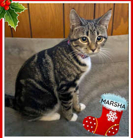 Photo of Marsha