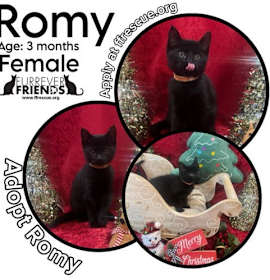 Photo of Romy