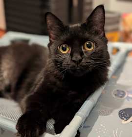 Photo of 0925-206 Ms. Rocky