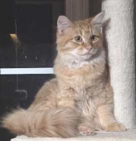 Photo of Bartholemew