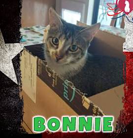 Photo of Bonnie