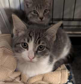 Photo of 1125-151 Par