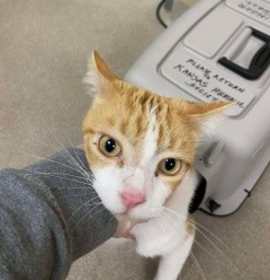 Photo of Jerry 125516